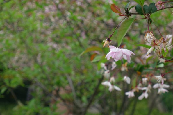 P1010404