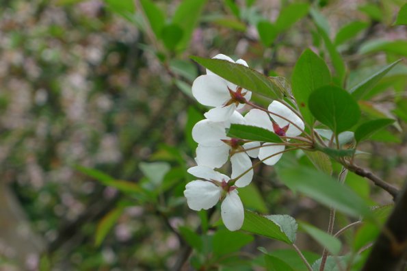 P1010405