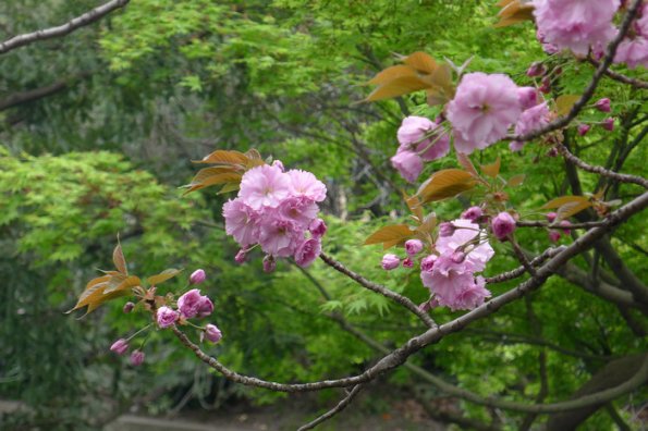 P1010417