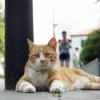 SONY DSC