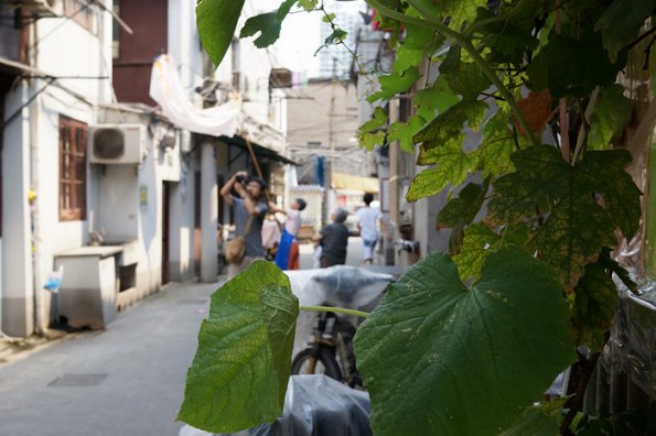 DSC00017