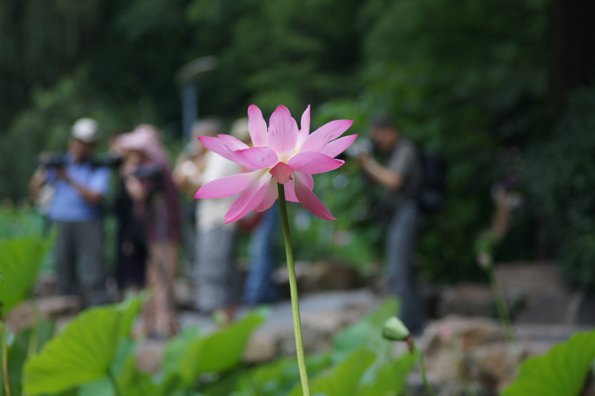 SONY DSC