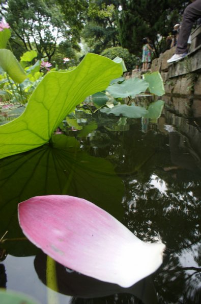 SONY DSC