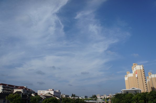 SONY DSC