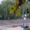DSC00755
