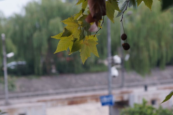 DSC00755