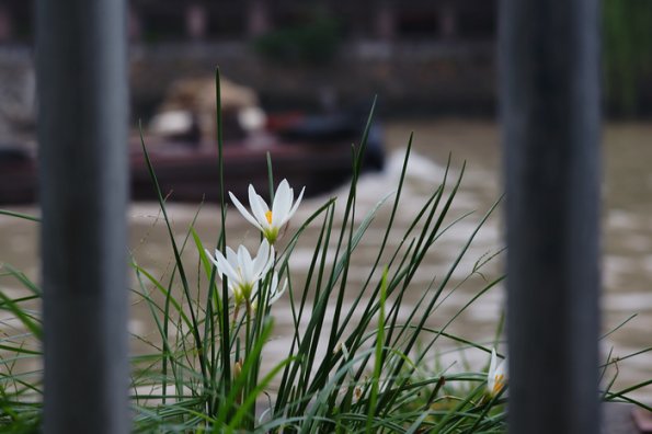 DSC00940