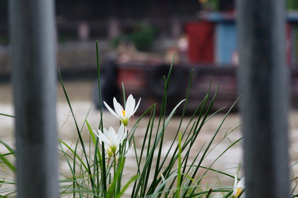 DSC00943
