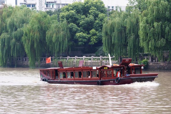 DSC00973