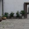 DSC00989