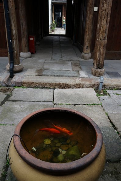 DSC01011