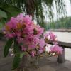 DSC01018