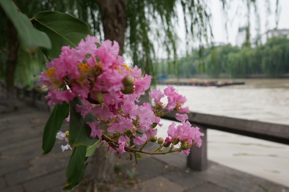 DSC01018