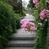 DSC01020