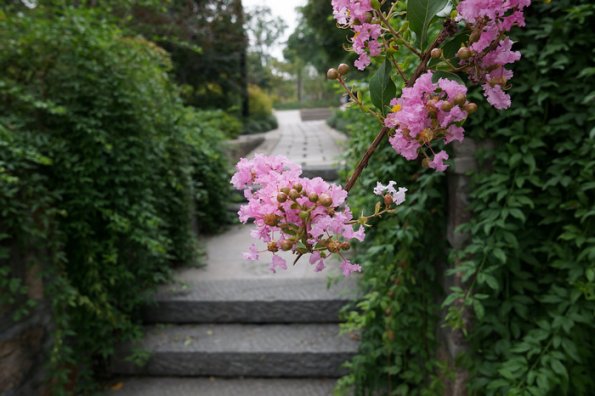 DSC01020