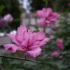 DSC01041