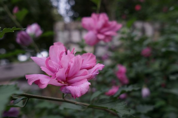 DSC01041