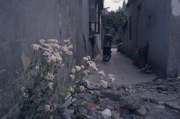 131121LC20003