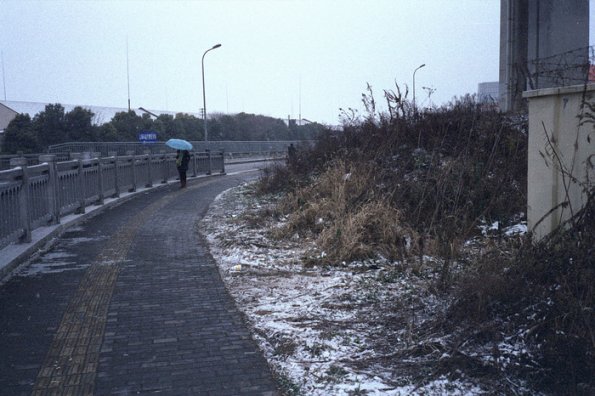 131122LC20006