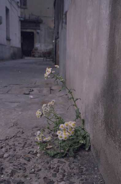 131122LC20024