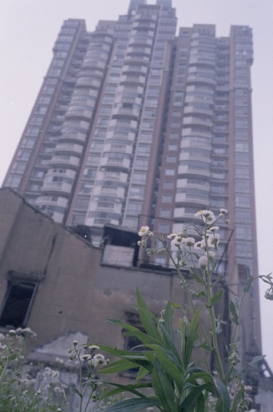 131122LC20035