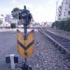 131123LC20029