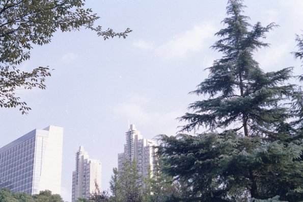 131123LC20031