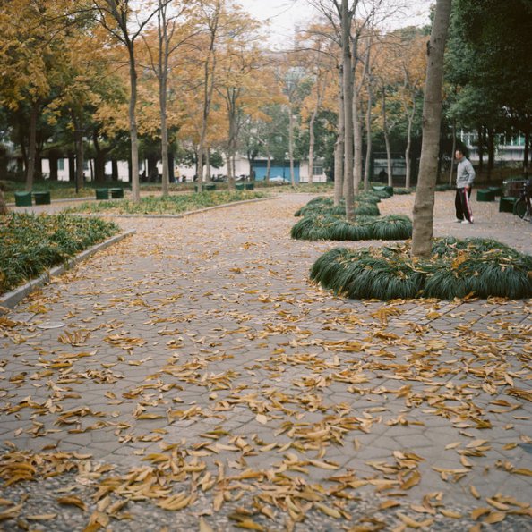 140320KP6008