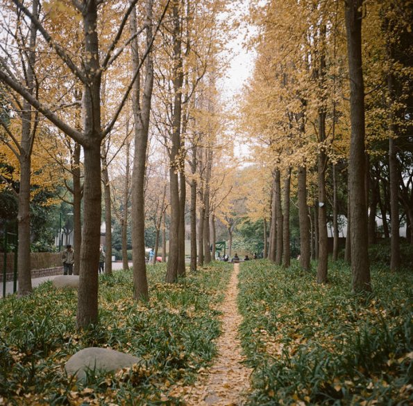 140320KP6009