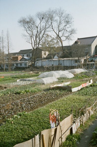 140320LC20024