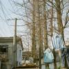 140320LC20030