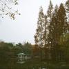 140321LC20028