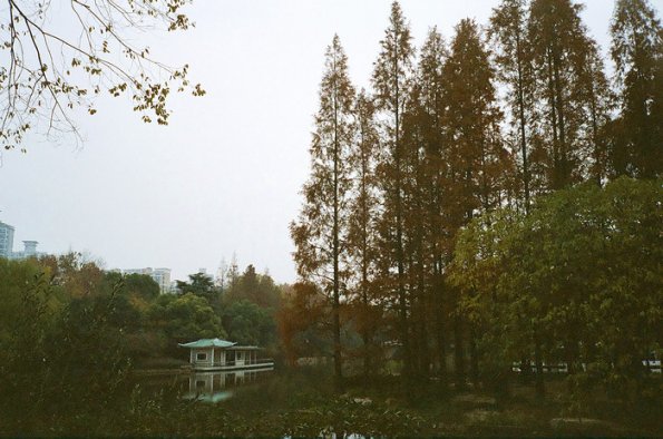 140321LC20028
