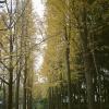 140321LC20032