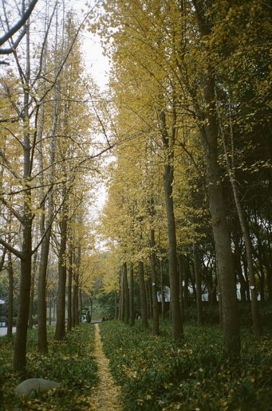 140321LC20032