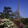 140609RVP0025