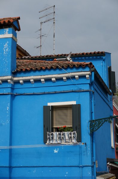 DSC03029