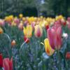 140609RVP0015