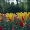 140609RVP0016