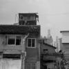 140330LS10013