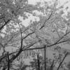 140330LS10036