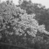 140330LS10037