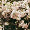 140406FS10001