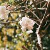 140406FS10002