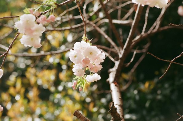 140406FS10002