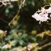 140406FS10003