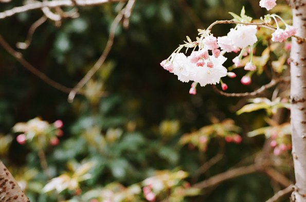 140406FS10003