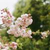 140406FS10004