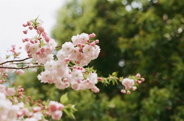 140406FS10004