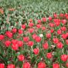 140406FS10005